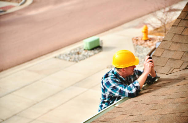 Best Roof Gutter Cleaning  in Madison, WI